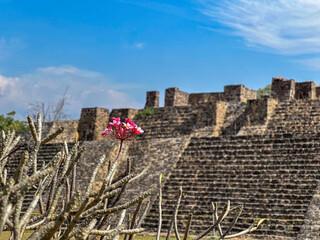 Obraz premium Teopanzolco Pyramids in Cuernavaca, Morelos, Mexico, During the Day with Clear Blue Sky