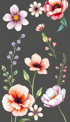 Fototapeta premium Flowers watercolor illustration.Manual composition.Big Set watercolor elements, simple style, with white tones