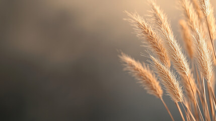 Golden fireworks captured in a macro perspective, their light reflecting subtly against a blurred black backdrop with hints of warm amber hues. The minimalist composition enhances