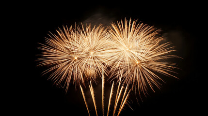 Obraz premium A radiant starburst of golden fireworks fills the scene, with trails extending gracefully outward. The blurred black background fades subtly, providing a luxurious and minimalist c