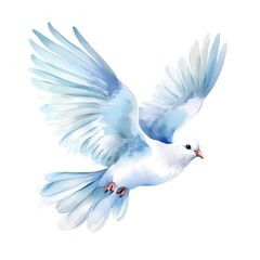 Obraz premium White dove symbolizing the holy spirit flying on all saints day