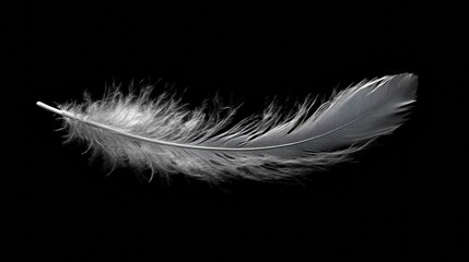 Obraz premium A delicate feather floats through the air, glistening in the light, swaying gently with the breeze—embodying peace and freedom.