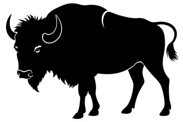 Buffalo Silhouette vector illustration