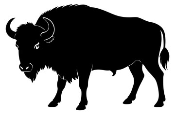 Buffalo Silhouette vector illustration