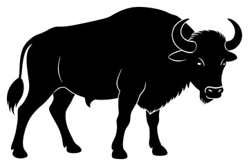 Buffalo Silhouette vector illustration