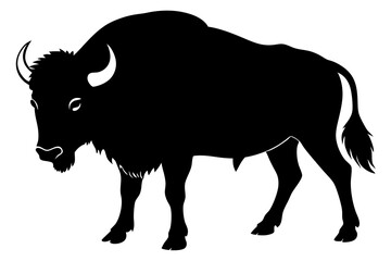 Buffalo Silhouette vector illustration