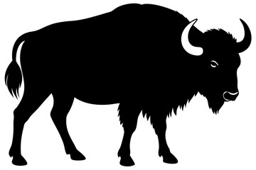 Buffalo Silhouette vector illustration