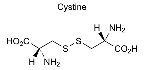 Chemical structure of cystine, drug substance