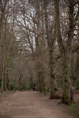 London unique spots that shows the daylife and the londoner mood