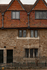 Naklejka premium Facade of a British building in Oxford with climbing plant without leaves
