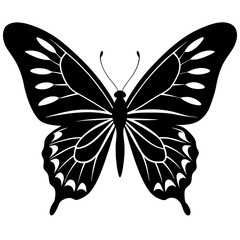 Butterfly Silhouette vector illustration