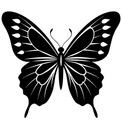 Butterfly Silhouette vector illustration