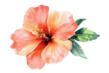 Watercolor Hibiscus Flower Painting: A Vibrant Blossom with Delicate Petals and Lush Green Leaves, Showcasing Artistic Botanical Illustration Techniques for Nature Enthusiasts and Art Lovers.