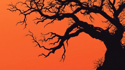 Silhouette of a leafless tree against a vibrant orange sunset sky.