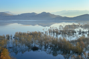 A view of the flooded forest and mountains in the distance