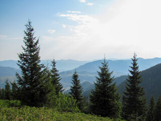 Scenic view of the Carpathian Mountains in Ukraine