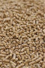 Wood filler for cat toilet, selective focus. Hygienic filler for pets. Pressed wood, large granules. Pellets. A pile of wood pellets. Filler for dogs, cats, domestic rodents