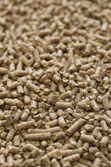 Wood filler for cat toilet, selective focus. Hygienic filler for pets. Pressed wood, large granules. Pellets. A pile of wood pellets. Filler for dogs, cats, domestic rodents