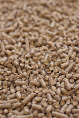 Wood filler for cat toilet, selective focus. Hygienic filler for pets. Pressed wood, large granules. Pellets. A pile of wood pellets. Filler for dogs, cats, domestic rodents