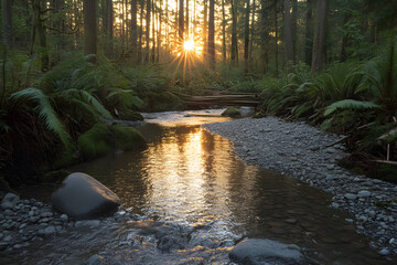 Serene Creek Meandering Through a Forest at Sunset with Lush Greenery and Reflective Waters