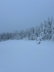 Snowy Landscape 