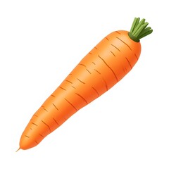 Realistic Carrot Stick Isolated on White Background

