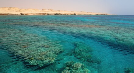 Obraz premium Clear turquoise water with visible coral reef near sandy shore