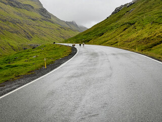 A flock of sheep stand on the side of a two lane highway running through the majestic mountains. A common sight in the Faroe Islands, where sheep outnumber people! Eysturoy, Faroe Islands, Denmark