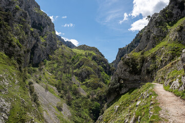 Hiking trail winding through majestic mountain gorge in spain