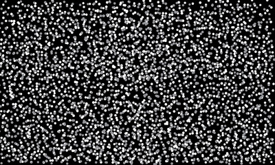 White glitter texture backdrop. Explosion of white confetti. Abstract circular white pattern on black background.