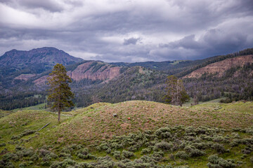 the greater yellowstone valleys during a summer storm with dramatic skies and mountains in the background. grasslands cliffs mountains and storm clouds 