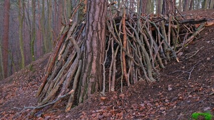 Forest Temporary Bushcraft Camp Shelter Build with Branches and Sticks by Survivalist Hunter Prepper