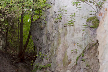 Malowniczy wąwóz skalny wypłukany (dawno temu) przez wodę w białych skałach osadowych nadchodzącym jesiennym wieczorem. Piękno natury w województwie świętokrzyskim - okolice Chmielowa koło Ostrowca Św