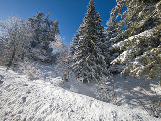 Winter landscape of Vitosha Mountain, Bulgaria