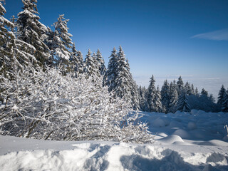 Winter landscape of Vitosha Mountain, Bulgaria