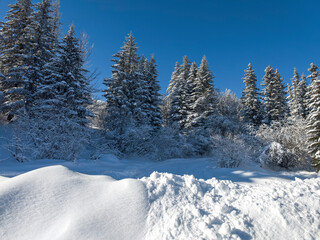 Winter landscape of Vitosha Mountain, Bulgaria