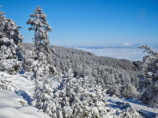 Winter landscape of Vitosha Mountain, Bulgaria