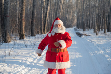 Santa Claus walks through the winter forest. 