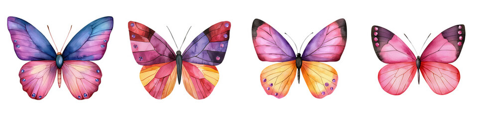 Valentine day element, Colorful butterfly collection with, isolated on transparent background