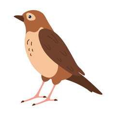 Brown bird standing on a surface with a simple design and charming expression