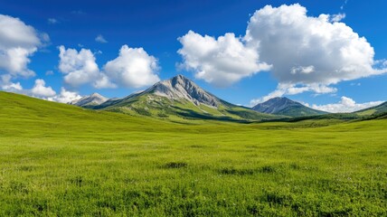 Obraz premium Vast green meadow with mountain backdrop under blue sky and scattered clouds
