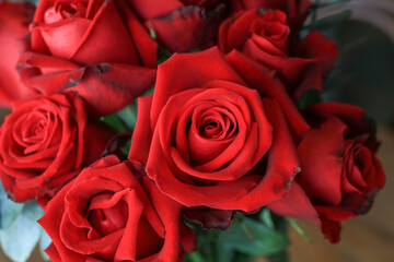 Red rose in vase on wooden table. Flowers blooming for the holiday. Home decoration. Luxury bouquet.