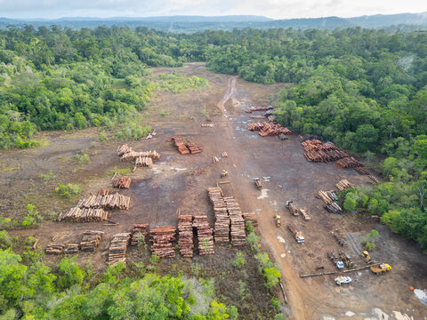 Aerial view of a logging yard in the Amazon rainforest: The yard is located in a clearing surrounded by dense forest. The logs are stacked in neat rows, and they are a variety of sizes and species.