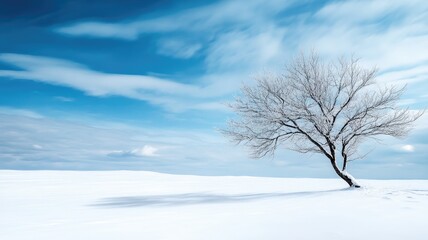 Fototapeta premium Lone tree on snowy landscape under cloudy sky