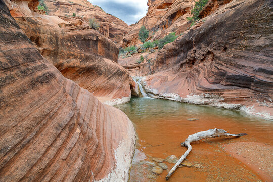 Red Reef Trail in Red Cliffs National Conservation Area waterfall - Powered by Adobe