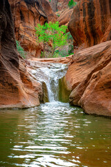 Red Reef Trail in Red Cliffs National Conservation Area waterfall