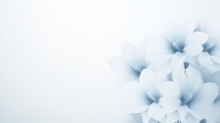 Elegant Monochromatic Illustration of Delicate White Flowers on Soft Light Background for Minimalist Design and Spring Themes