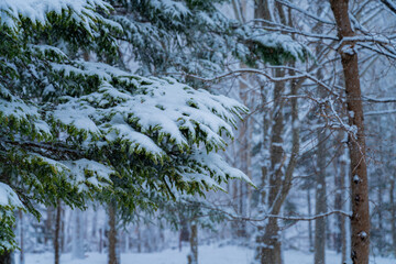 Winter snowy landscape Volcanic scenery of Showa-shinsan in Hokkaido,Japan, Travel.