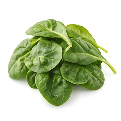 spinach icon simple background