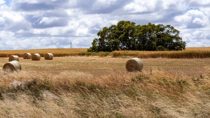  large round hay bales on dry harvested paddock